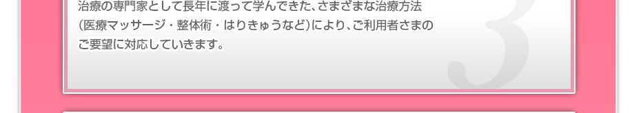 治療の専門家として長年に渡って学んできた、さまざまな治療方法（医療マッサージ・整体術・はりきゅうなど）により、ご利用者さまのご要望に対応していきます。